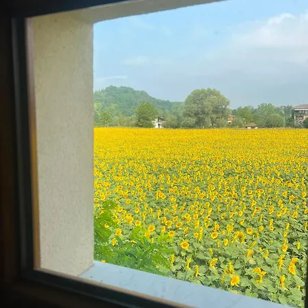 乡村民宿 Cascina Nuova *